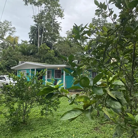 Casa Rio Verde Cahuita Exterior foto