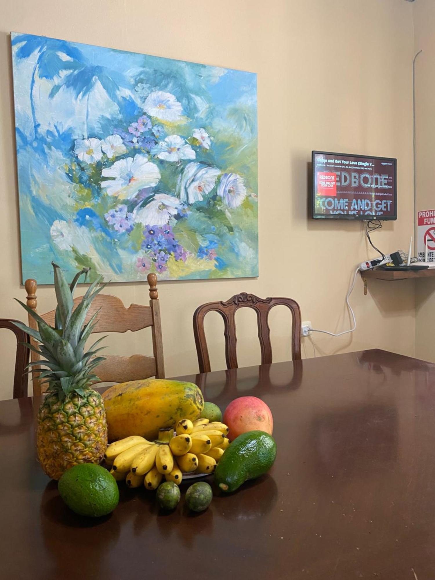 Casa Rio Apartment