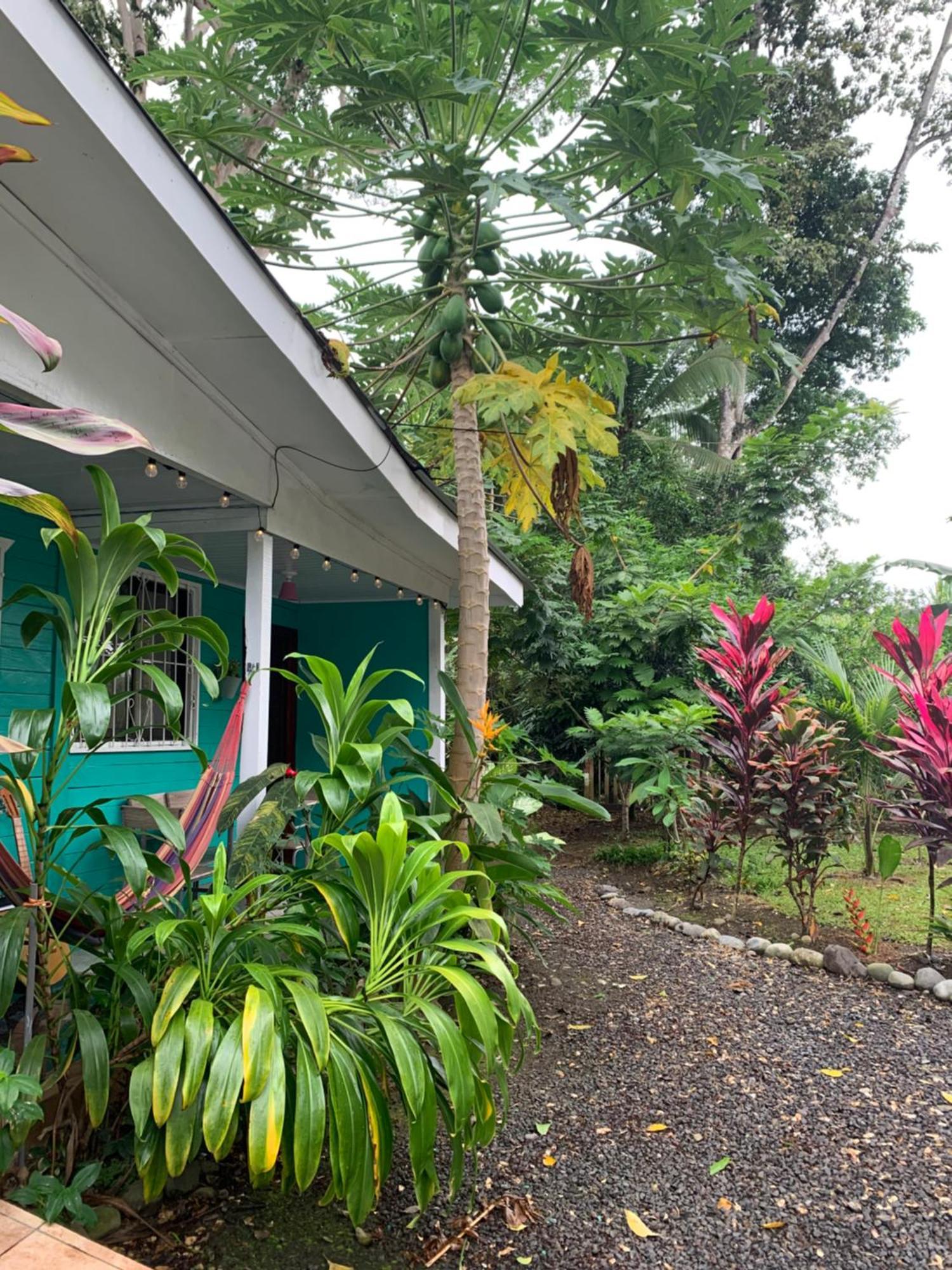 Casa Rio *
